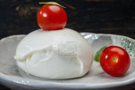 Foto de Cheese collection, one big ball on soft white italian mozzarella bufala campania cheese with red tomato and green basil leaves on gray board - Imagen libre de derechos