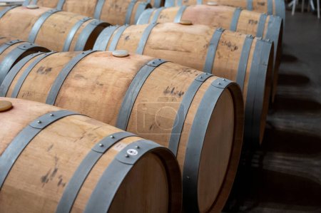 Foto de Rows of french and american oak barrels with red dry wine in cellars of winery in Rioja wine making region, Spain - Imagen libre de derechos