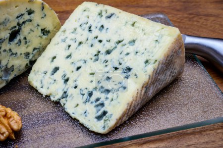 Photo for Cheese collection, piece of French blue cheese auvergne and blue fourme d'ambert close up - Royalty Free Image