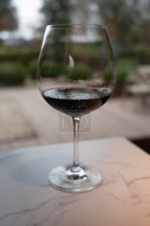 Foto de Tasting of red reserva rioja wines, visit of winery cellar in Haro, capital of Rioja wine making region, Spain - Imagen libre de derechos