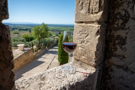 Glass of red dry wine and ruins of medieval castle of Chteauneuf du Pape ancient wine making village in France in summer