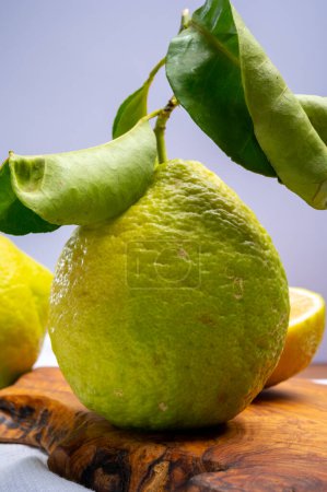 Photo for Variety of citrus fruits, ripe bergamot and lemon citron cedrate or Citrus medica, large fragrant citrus fruit with thick rind - Royalty Free Image