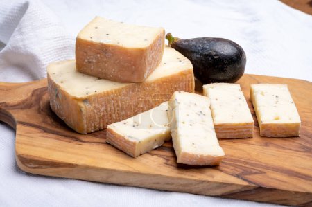 Téléchargez les photos : Collection de fromages italiens, fromage taleggio jaune aux truffes noires, gros plan - en image libre de droit