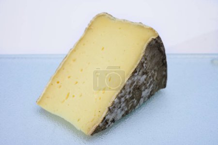Photo for Piece of cheese Tomme de montagne or tomme de savoie made from cow milk in French Alps - Royalty Free Image