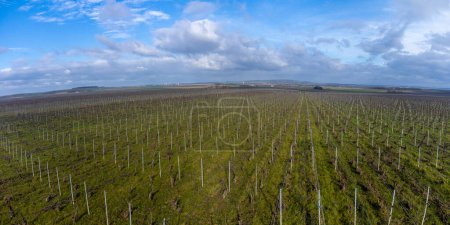 Foto de Aerial panoramic winter view on agricultural valley landscape, vineyards near Ludes premier cru champagne village near Epernay, wine production in France - Imagen libre de derechos