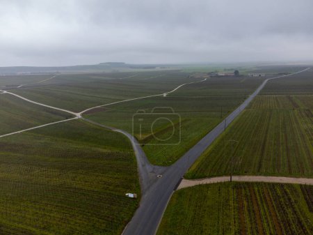 Foto de Aerial panoramic winter view on cloudy landscape, valley vineyards near Ludes premier cru champagne village near Epernay, wine production in France - Imagen libre de derechos