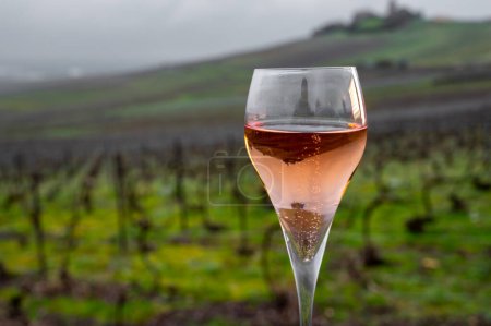 Degustación de vino espumoso de champán rosa brut al aire libre con vistas a pinot noir grandes cru viñedos de famosas casas de champán en Montagne de Reims cerca de Verzenay, Champagne, Francia
