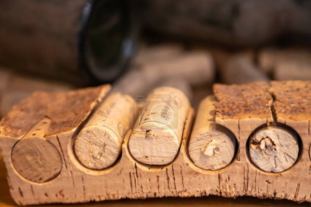 Foto de Forma tradicional de hacer tapones de corcho para botellas de vino de alcornoque de cerca - Imagen libre de derechos
