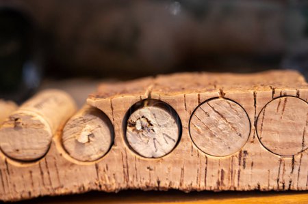 Foto de Forma tradicional de hacer tapones de corcho para botellas de vino de alcornoque de cerca - Imagen libre de derechos