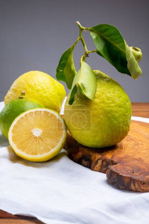 Photo for Variety of citrus fruits, ripe bergamot and lemon citron cedrate or Citrus medica, large fragrant citrus fruit with thick rind - Royalty Free Image
