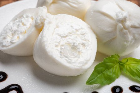 Photo for Eating of fresh handmade soft Italian cheese from Puglia, white balls of burrata or burratina cheese made from mozzarella and cream filling close up with balsamico cream - Royalty Free Image