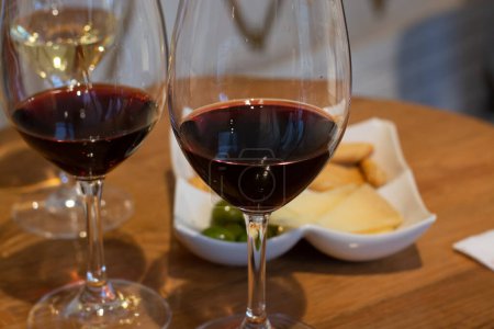 Foto de Tasting of different red and white rioja wines, visit of winery cellars, Rioja wine making region, Spain - Imagen libre de derechos