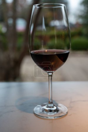 Téléchargez les photos : Tasting of red reserva rioja wines, visit of winery cellar in Haro, capital of Rioja wine making region, Spain - en image libre de droit