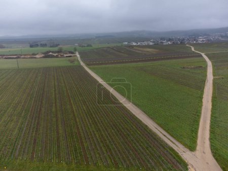 Foto de Aerial panoramic winter view on cloudy landscape, valley vineyards near Ludes premier cru champagne village near Epernay, wine production in France - Imagen libre de derechos