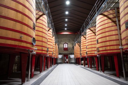 Téléchargez les photos : Modern large wooden barrels for wine fermentation process, red and white wine making in La Rioja region, Spain - en image libre de droit