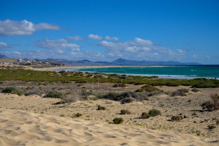 Téléchargez les photos : Dunes de sable et eaux turquoise de la plage de Sotavento, Costa Calma, Fuerteventura, Îles Canaries, Espagne en hiver - en image libre de droit