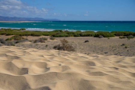 Téléchargez les photos : Dunes de sable et eaux turquoise de la plage de Sotavento, Costa Calma, Fuerteventura, Îles Canaries, Espagne en hiver - en image libre de droit