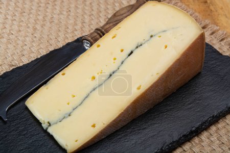 Cheese collection, French Morbier semi-soft cow milk cheese with black mold layer close up