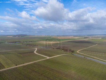 Foto de Aerial panoramic winter view on agricultural valley landscape, vineyards near Ludes premier cru champagne village near Epernay, wine production in France - Imagen libre de derechos