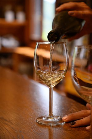 Foto de Degustación de variedad de vinos blancos rioja españoles, visita de bodegas, región vinícola de Rioja, España - Imagen libre de derechos