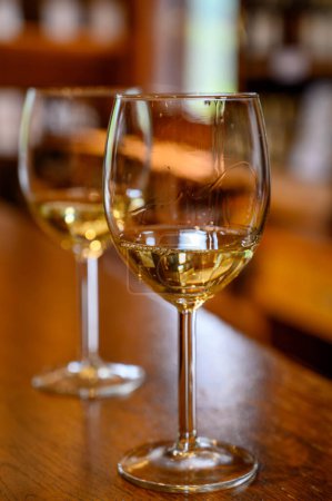 Téléchargez les photos : Dégustation de vins blancs espagnols rioja, visite de caves vinicoles, région viticole de Rioja, Espagne - en image libre de droit
