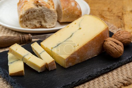 Colección de quesos, queso francés Morbier semi-suave leche de vaca con capa de moho negro de cerca