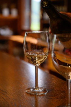 Foto de Degustación de variedad de vinos blancos rioja españoles, visita de bodegas, región vinícola de Rioja, España - Imagen libre de derechos