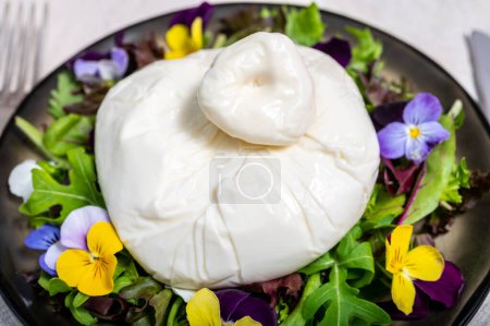 Photo for Fresh handmade soft Italian cheese from Puglia, white ball of burrata foglia saporosa or burratina cheese made from mozzarella and cream filling served with green rocket salad witn viola flowers. - Royalty Free Image