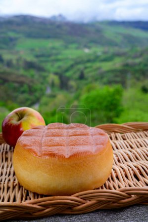 Téléchargez les photos : Fromage de vache fumé dur espagnol du village de Pria, Asturies, servi en plein air avec des pommes et vue sur les pentes verdoyantes des montagnes Picos de Europa - en image libre de droit