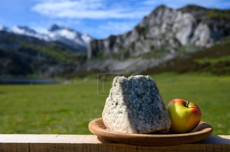 Photo for Cabrales, artisan blue cheese made by rural dairy farmers in Asturias, Spain from cows milk or blended with goat, sheep milk with Picos de Europa mountains and Covadonga lake - Royalty Free Image