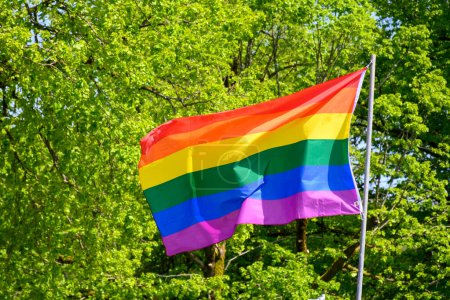 Photo for Gay pride rainbow colours flag and green tree outdoor - Royalty Free Image