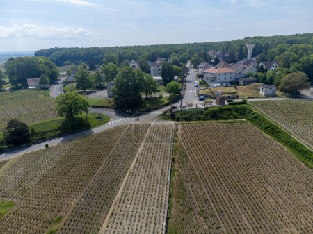 Photo for Panoramic aerial view on green grand cru champagne vineyards and houses of village Cramant, Cotes des Blancs, Champange, France - Royalty Free Image