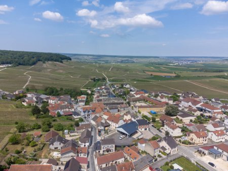 Photo for Panoramic aerial view on green grand cru champagne vineyards and houses of village Cramant, Cotes des Blancs, Champange, France - Royalty Free Image