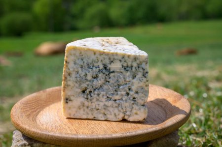 Téléchargez les photos : Cabrales, fromage bleu artisanal fabriqué par des producteurs laitiers ruraux des Asturies, Espagne à partir de lait de vache non pasteurisé ou mélangé avec du lait de chèvre ou de brebis petite zone de production Picos de Europa, Espagne - en image libre de droit
