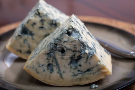 Photo for Cheese collection, piece of French blue cheese auvergne or fourme d'ambert close up. - Royalty Free Image