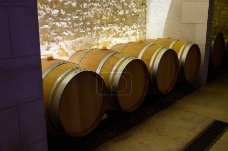 Téléchargez les photos : Visite des caves du domaine dans l'appellation Pouilly-Fume, vin blanc des vignobles de Pouilly-Fume près de Pouilly-sur-Loire, Bourgogne, France. - en image libre de droit