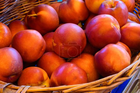 Téléchargez les photos : Nouvelle récolte de nectarines rouges fraîches et mûres en Provence, France - en image libre de droit