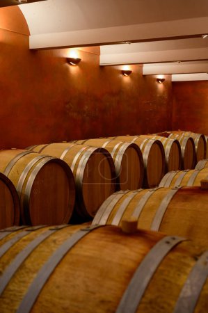 Caves souterraines avec barriques pour le vieillissement du vin rouge sec à Châteauneuf-du-Pape village viticole en France avec vignobles verts sur grands galets de galets et sols argileux de grès.