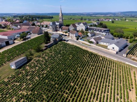 Téléchargez les photos : Vue aérienne sur les villages perchés de Saint-Andelain entourés de vignobles qui font partie de la région viticole de Pouilly-Fum, vallée de la Loire, centre de la France - en image libre de droit