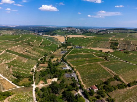 Vue aérienne sur les vignobles vallonnés de l'appellation Sancerre Chavignol, département du Cher, France, surplombant la vallée de la Loire, réputée pour son vin blanc Sancerre dry savignon blanc