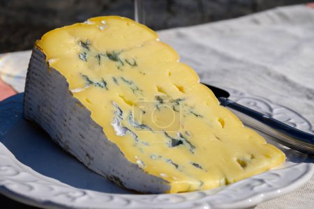 Photo for Cheese collection, piece of French Alps mountains blue cheese Bleu de Savoie close up - Royalty Free Image
