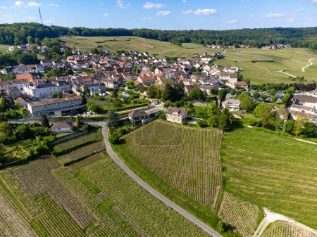 Photo for Panoramic aerial view on green premier cru grapes champagne vineyards near village Hautvillers and Marne river valley, Champange, France - Royalty Free Image