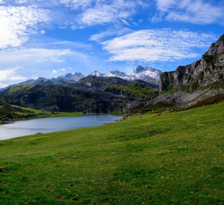 Foto de Lagos de montaña Lagos de Covadonga y pastos verdes, Picos de Europa, Asturias, Norte de España - Imagen libre de derechos