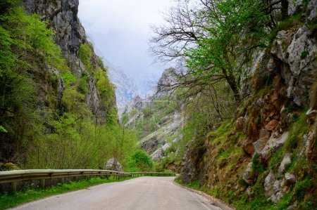 Photo for Driving narrow mountain road from Los Arenas to remote mountain village Sotres, Picos de Europa mountains, Asturias, North of Spain, view on gorge and mountains - Royalty Free Image