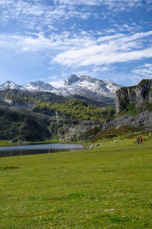 Photo for Mountain lakes Lagos de Covadonga and green pasture, Picos de Europa mountains, Asturias, North of Spain - Royalty Free Image