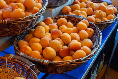 Téléchargez les photos : Nouvelle récolte d'abricots frais, mûrs, jaunes et rouges en Provence, France - en image libre de droit