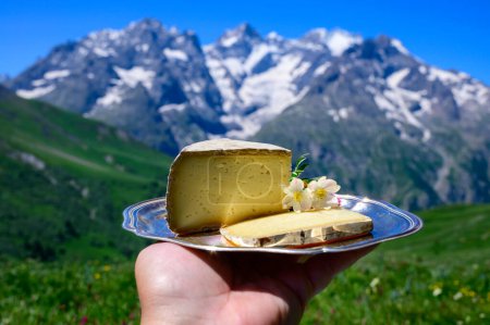 Photo for Cheese collection, Tomme de Savoie cheese from Savoy region in French Alps, mild cow's milk cheese served outdoor, view on snowy tops of French Alpes mountains - Royalty Free Image