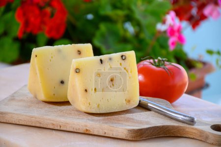Foto de Colección de quesos, queso pecorino italiano envejecido con pimientos negros hechos en la región Nebrodi, Sicilia, Italia, primer plano - Imagen libre de derechos