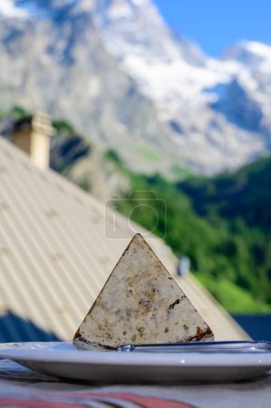 Photo for Cheese collection, Tomme de Savoie cheese from Savoy region in French Alps, mild cow's milk cheese with beige interior and thick brownish-grey rind served outdoor, mountains view - Royalty Free Image
