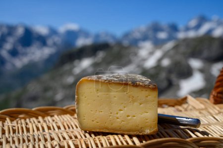 Photo for Cheese collection, Tomme de Savoie cheese from Savoy region in French Alps, mild cow's milk cheese served outdoor, view on snowy tops of French Alpes mountains - Royalty Free Image